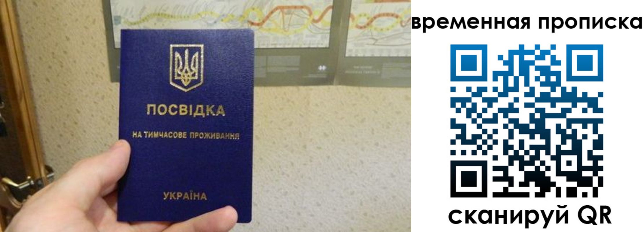 прописка для кредита в Ардоне